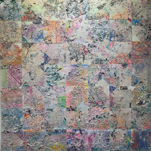 Disintegrated Beauty I